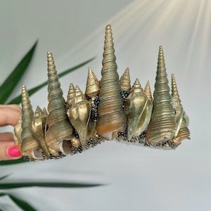 Puede incluir: Una corona dorada de conchas marinas con cuentas negras. La corona está hecha de conchas marinas de diferentes tamaños, todas con un acabado dorado.
