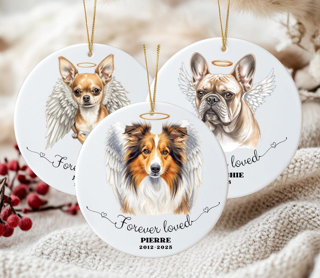 Pet Loss Sympathy Gift, Personalized Dog Memorial Ornament, Custom ...