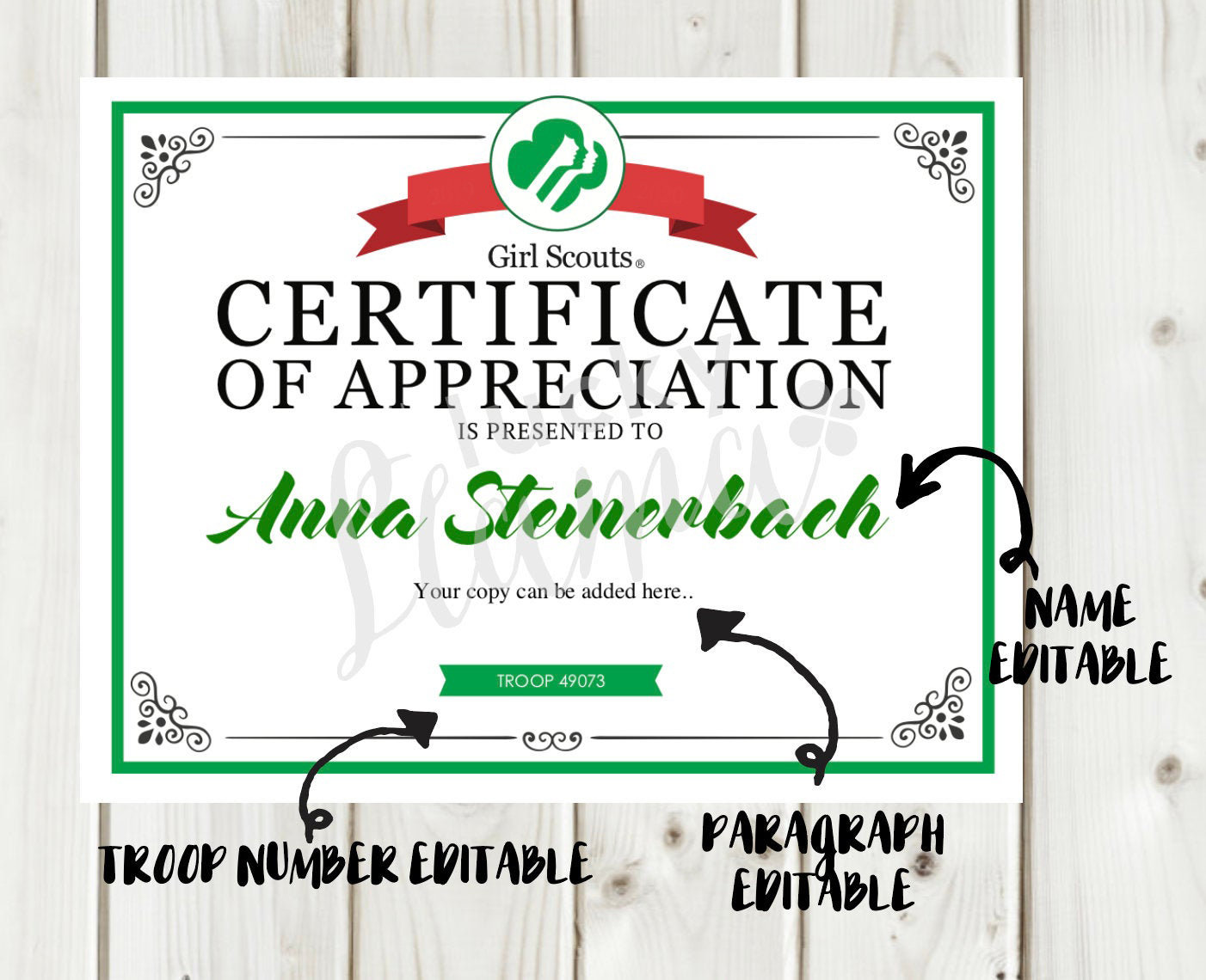 Girl Scout Leader Certificate/award Printable Editable Etsy