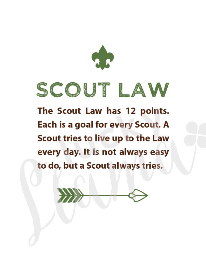 15-best-images-about-boy-scouts-on-pinterest-wheels-year-of-the