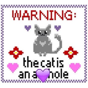 Funny Cute Cat Cross Stitch - "Warning: the cat is an a**hole." - Easy and Simple Beginner Cross Stitch Pattern