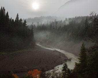 Klamath River | Northern California | Sequoia Tree Prints | Nature Wall Art | Landscape Photography | PCH | Canvas Prints | Metal Prints