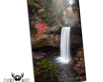 Greeter Falls: Tennessee Photography South Cumberland State Park