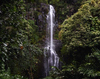 Wailua Falls | Road to Hana | Palm Tree Pictures | Maui Photography | Hawaii Photography | Canvas Prints | Metal Prints | Hawaii Wall Art