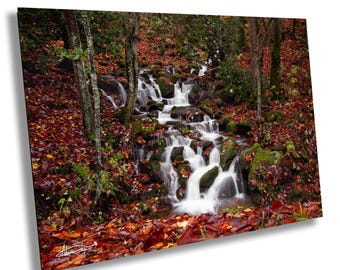 Peut inclure: Une impression murale rectangulaire présentant une photographie à longue exposition d'un ruisseau en cascade coulant sur des rochers sombres couverts de mousse. Le sol forestier est jonché de feuilles d'automne rouges et orange.