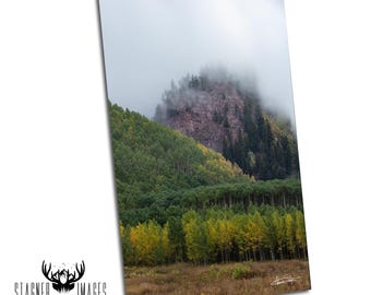 White River National Forest: Aspen Colorado Prints