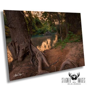King Snake Havasu Creek | Supai Arizona | Wall Art | Waterfall Photography | Home and Office Decor