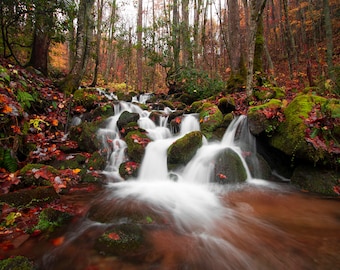 Autumn Streams | Smoky Mountain National Park | Blue Ridge Mountains Wall Art | Landscape Photography | Metal Prints | Canvas Prints