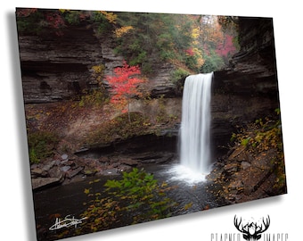 Greeter Falls 2: Tennessee South Cumberland State Park