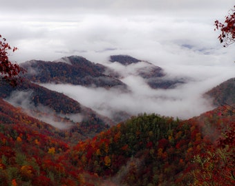 Between The Autumn | Great Smoky Mountains National Park | Blue Ridge Mountains | Landscape Photography | Metal Prints | Canvas Prints |