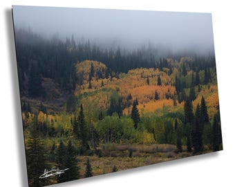 White River National Forest 2: Aspen Colorado Prints