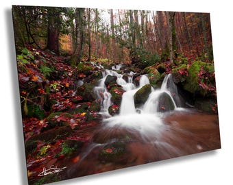 Peut inclure: Une impression d'art mural rectangulaire représentant un ruisseau forestier qui cascade sur des rochers couverts de mousse. La scène est remplie de feuilles d'automne rouges et orange vives éparpillées sur le sol, avec des arbres en arrière-plan.