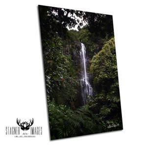 Wailua Falls | Road to Hana | Palm Tree Pictures | Maui Photography | Hawaii Photography | Canvas Prints | Metal Prints | Hawaii Wall Art