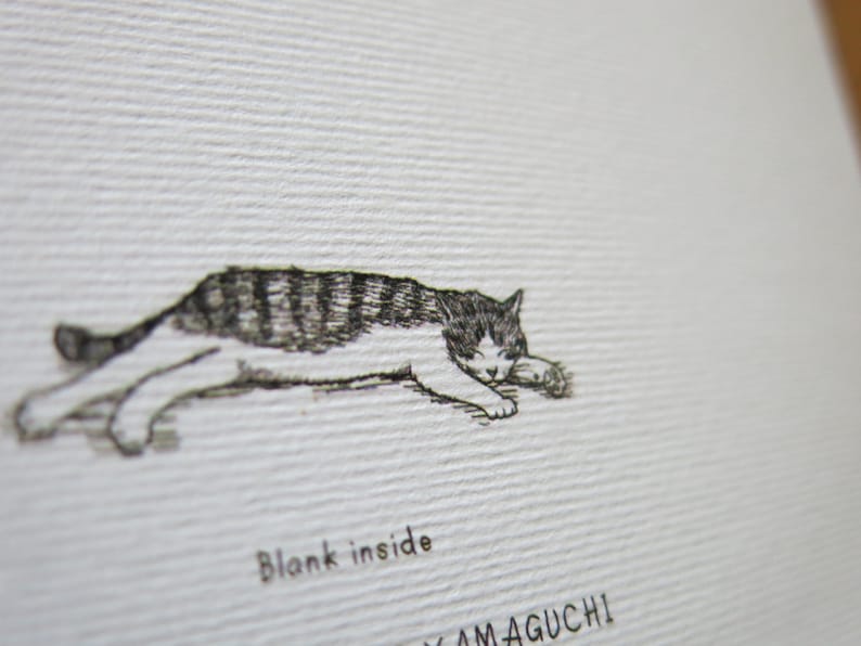 Pu&ograve; includere: Un'illustrazione in bianco e nero di un gatto che dorme su uno sfondo bianco. Il testo "Blank inside" e "YAMAGUCHI" sono visibili sotto il gatto.
