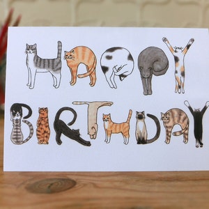 Katzen Geburtstagskarte A6