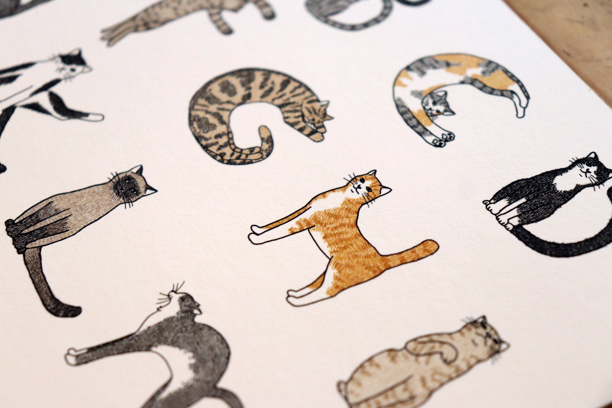 Cat Alphabet Giclée Fine Art Print A4 Size Etsy UK