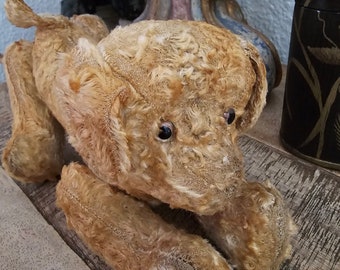 L'adorable et très vieux chien en peluche