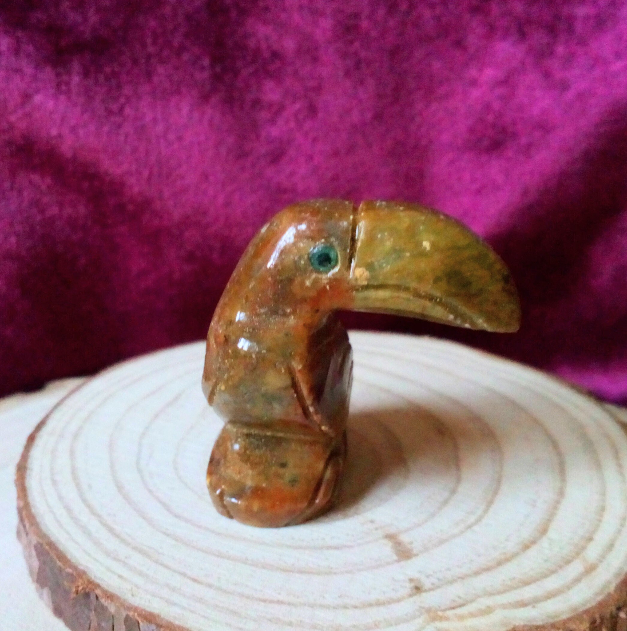 Les Toucans Fantastiques