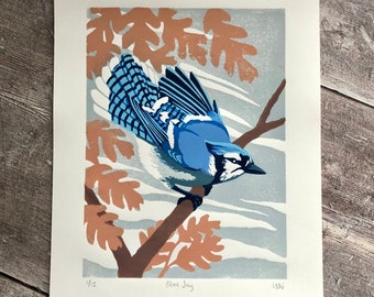 Blue Jay linocut print – handmade, limited edition