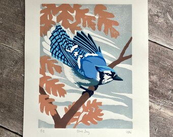 Blue Jay linocut print – handmade, limited edition
