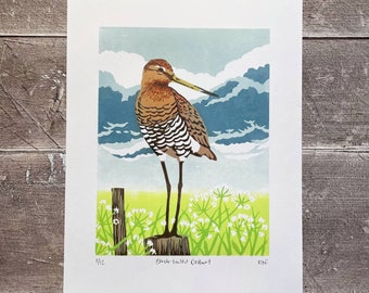 Black-tailed Godwit linocut print – handmade, limited edition art