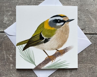 Firecrest bird greeting card - blank inside