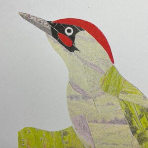K&ouml;nnte beinhalten: Eine farbenfrohe Illustration eines Gr&uuml;nspechts mit rotem Kopf und schwarzen Akzenten. Der Vogel ist im Profil dargestellt, mit aufw&auml;rts gerichtetem Schnabel. Das Kunstwerk hat eine strukturierte, handgezeichnete Optik.