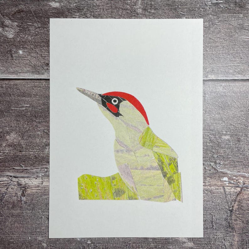 K&ouml;nnte beinhalten: Ein Druck eines Gr&uuml;nspechts mit rotem Kopf und schwarzem Auge, der auf einem gr&uuml;nen Ast sitzt. Der Vogel ist im Collage-Stil vor wei&szlig;em Hintergrund dargestellt. Das Kunstwerk befindet sich auf wei&szlig;em rechteckigem Papier.