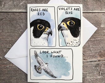 Peregrine falcon Valentine’s Day card | Humorous | For bird lovers only