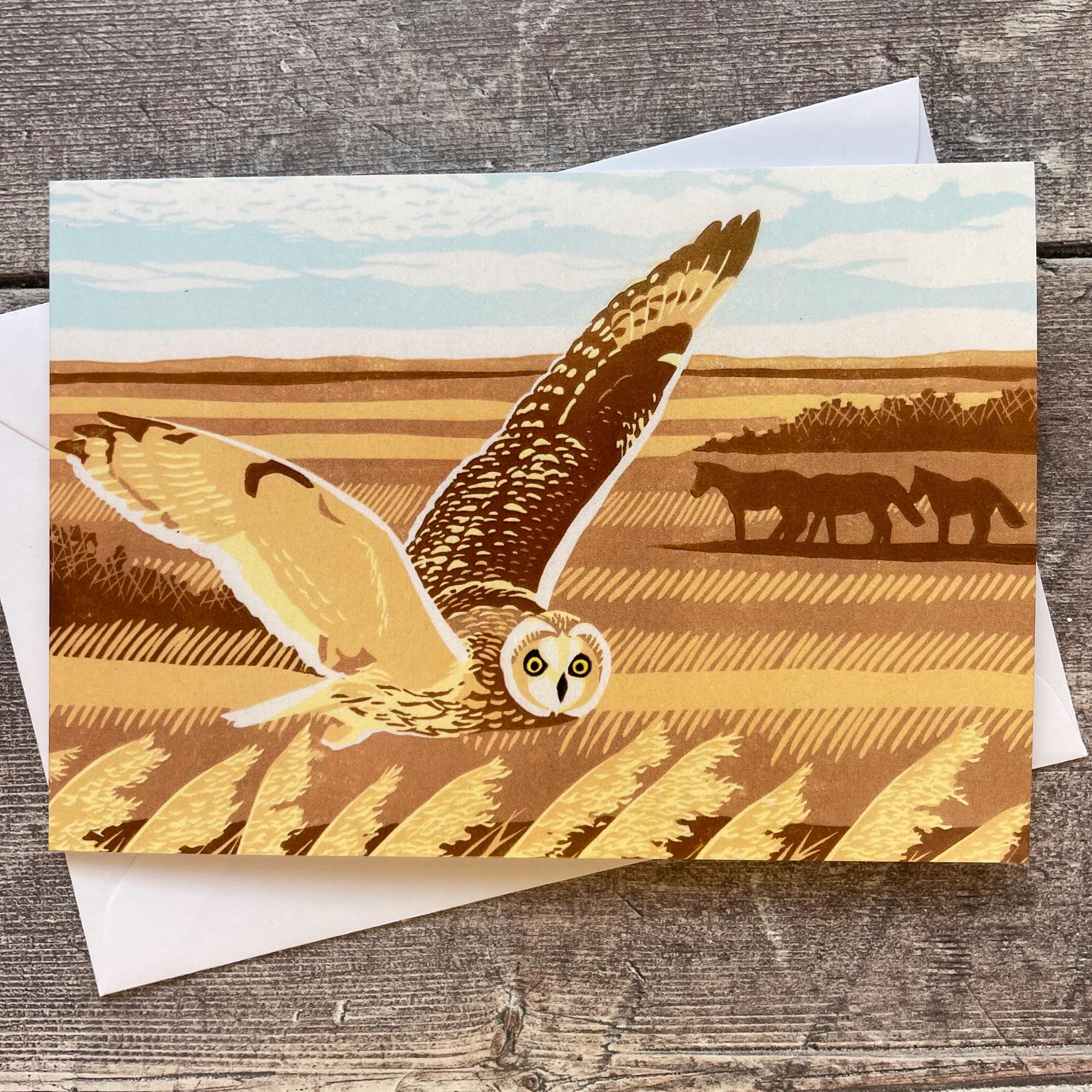 Short-eared Owl greeting card – blank inside