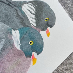 Puede incluir: Un primer plano de un dibujo de dos palomas. Las palomas est&aacute;n dibujadas en tonos de gris, azul y rosa. Las palomas tienen ojos amarillos y picos naranjas.