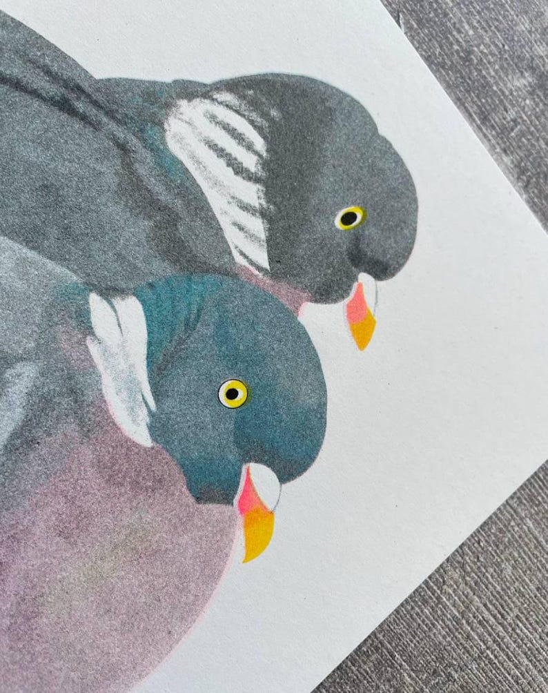 Puede incluir: Un primer plano de un dibujo de dos palomas. Las palomas est&aacute;n dibujadas en tonos de gris, azul y rosa. Las palomas tienen ojos amarillos y picos naranjas.