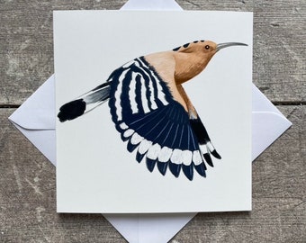 Hoopoe bird greeting card - blank inside