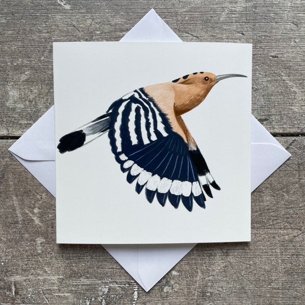 Hoopoe bird greeting card - blank inside