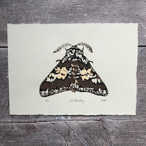 Oak Beauty moth print - handmade, limited edition linocut print