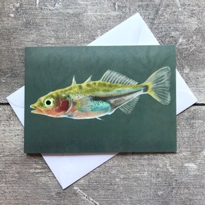 Grußkarte Stichlingfisch - innen blanko