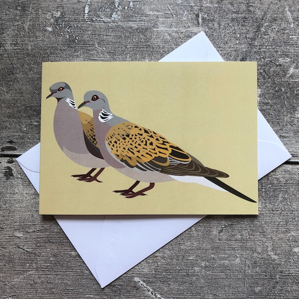 Turtle Dove greeting card | bird greeting card |  blank inside