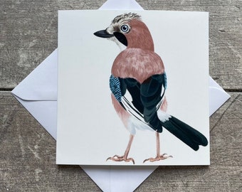 Jay bird greeting card - blank inside