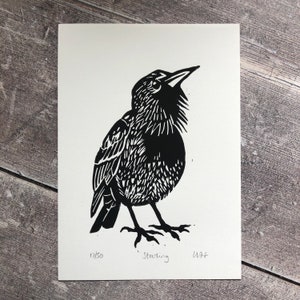 Starling bird linocut print - hand-pulled, limited edition