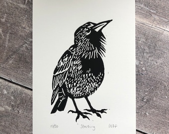 Starling bird linocut print - hand-pulled, limited edition