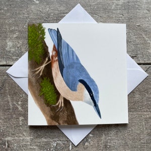 Nuthatch bird greeting card - blank inside