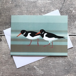 Carte de voeux huîtrier pie – vierge à l'intérieur | Carte Oiseaux de rivage | Carte des cuissardes