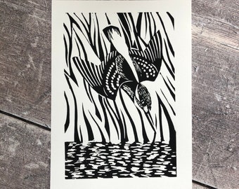 Kingfisher bird linocut print – handmade, limited edition