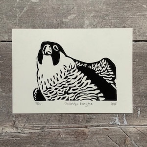 May include: Black and white linocut print of a peregrine falcon, titled "Cambridge Peregrine" with the number 9/50 and the artist's initials "W.F."