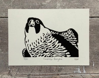 Peregrine Falcon bird linocut print - hand-pulled, limited edition