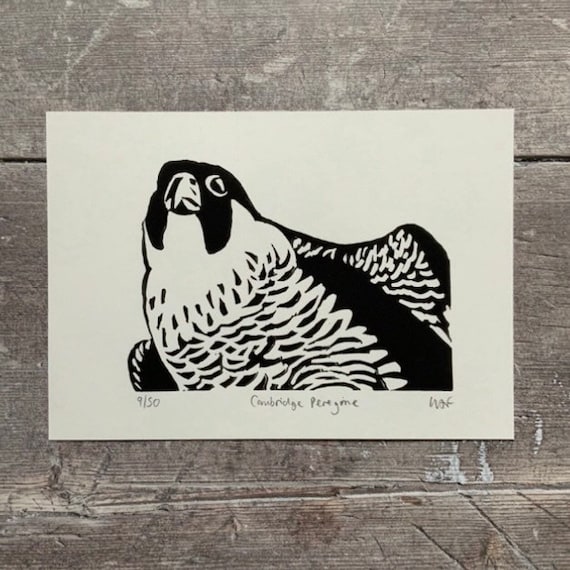 Peregrine Falcon bird linocut print - hand-pulled, limited edition