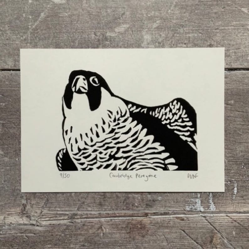 May include: Black and white linocut print of a peregrine falcon, titled "Cambridge Peregrine" with the number 9/50 and the artist's initials "W.F."