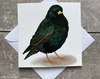 Starling bird greeting card - blank inside