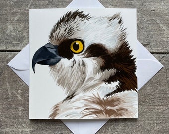 Osprey bird greeting card - blank inside