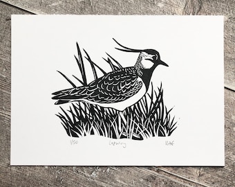 Lapwing linocut print | Original art | Handmade, limited edition